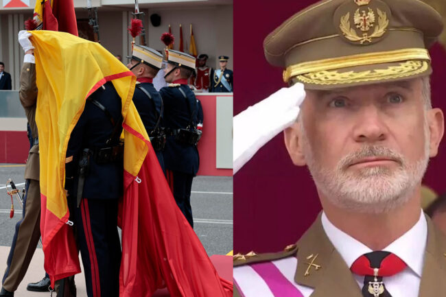 gesto-rey-descolgarse-bandera-espana-dia-fuerzas-armadas-650x433