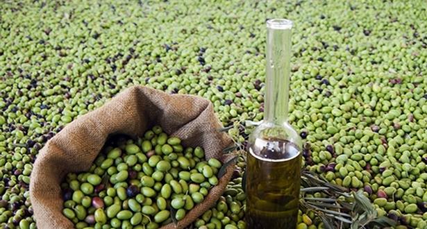 Salto récord de las exportaciones de aceite de oliva marroquí hacia Europa