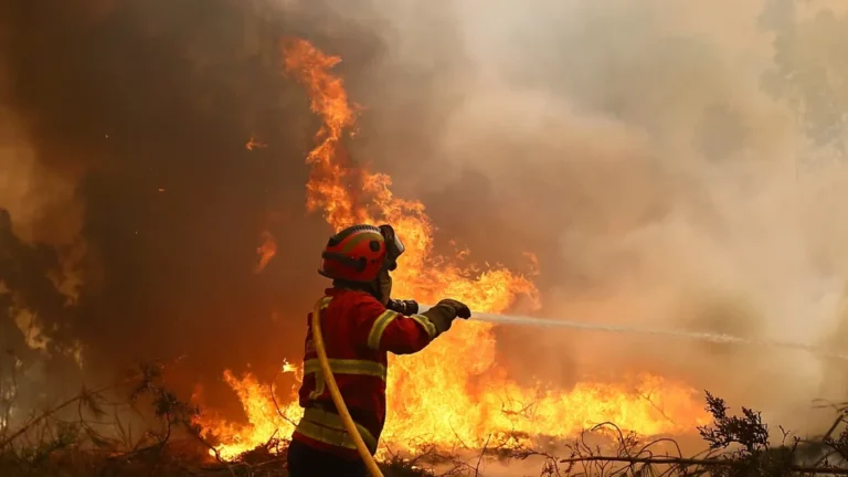 Portugal solicita apoyo a Marruecos, España y la UE ante el elevado riesgo de incendios forestales