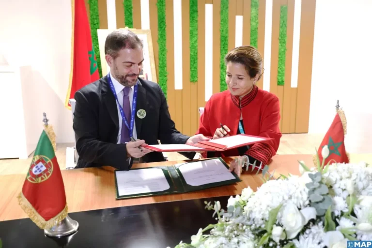 Portugal reactiva el proyecto de un cable eléctrico submarino con Marruecos