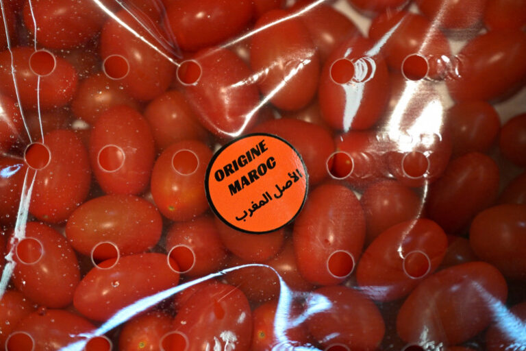 Marruecos supera a España por segundo año consecutivo en ventas de tomate en la UE