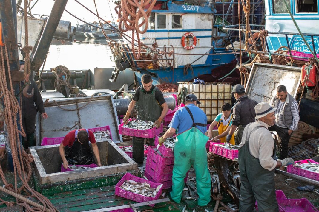 La pesca en el Sáhara marroquí evidencia las contradicciones de la política española hacia Marruecos La pesca en el Sáhara marroquí evidencia las contradicciones de la política española hacia Marruecos